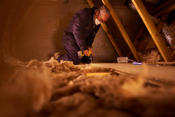 Best Attic Insulation Installation  in Montgomery, OH